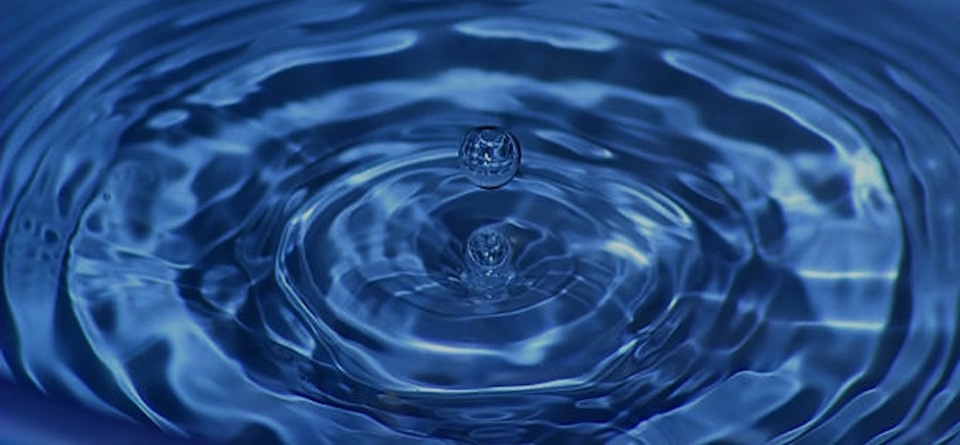 earthgroove ventures